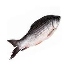 Rohu 3 Kg