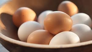 Eggs