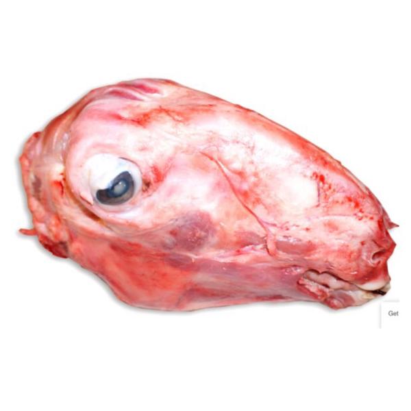 LAMB HEAD