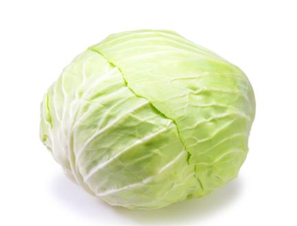 Chinese Cabbage