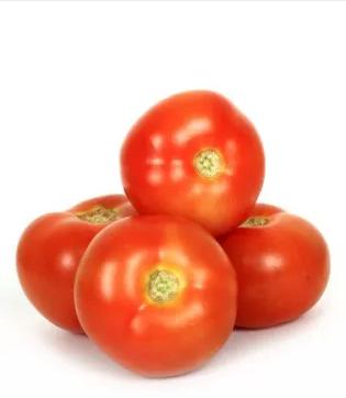 Tomato Regular