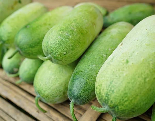 FUJI SQUASH